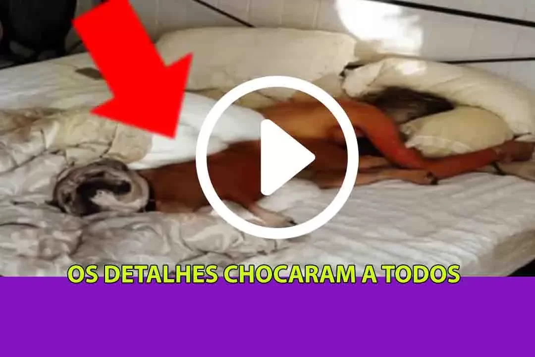 Após Dormir Com CACHORR0 De Estimaçã0, Mulher Começa Sentir Alg0 Estranho Em Seu Corp0, Vai Ao Médico E Faz CHOCANTE Descoberta…Veja Vide0