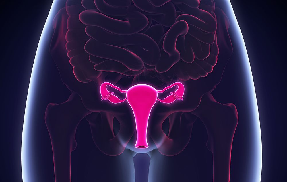 Ginecologista Revela 04 Coisas que Toda Mulher Faz Que Pode Causar Câncer Na Áreas Íntimas…Ver mais