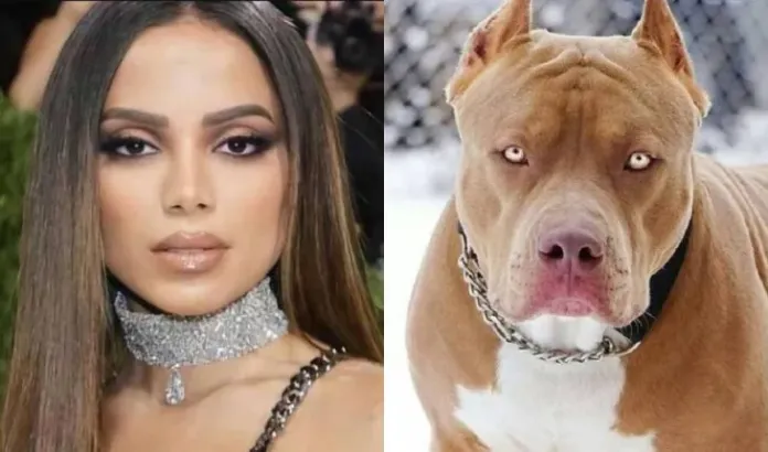 Anitta fala sobre ter relações com cachorros e sofre dur…. Ver mais