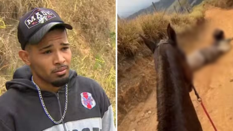 Homem que c0rtu as p4tas de cavalo, acaba de ser… ver mais