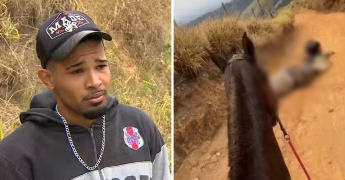 Homem que c0rtu as p4tas de cavalo, acaba de ser… ver mais