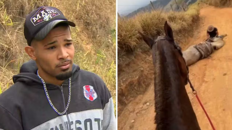 H0mem Que Cort0u P4t4s De Caval0 É Encontrad0 Sem…Ver mais