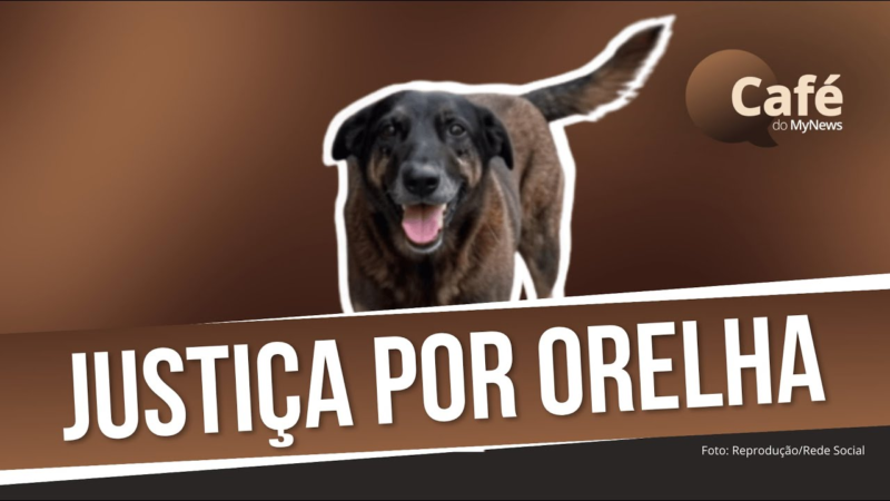 Urgente jovem que fez parte da morte do cachorro orelha acaba ser encontrado M…Ver Mais