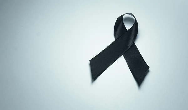 Nessa manhã Larissa Manuela Vítima do Seu Própr…Ver Mais