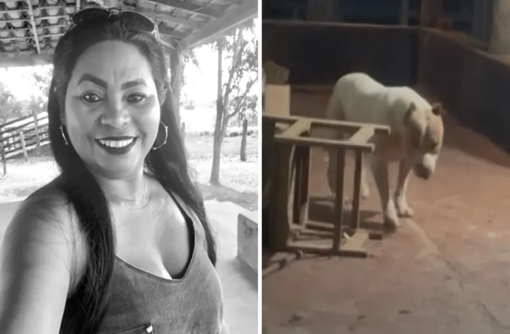 Reviravolta: Laudo revela que não foi o pitbul,mais sim seu próprio Filh…Ver Mais